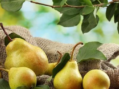 女性節食減肥要注意什么？這四大禁忌要牢記