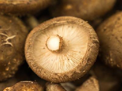 如何減肥不反彈？想要減肥不反彈就要注意這些