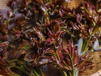 跳繩減肥能瘦哪里呢？跳繩減肥效果怎么樣？