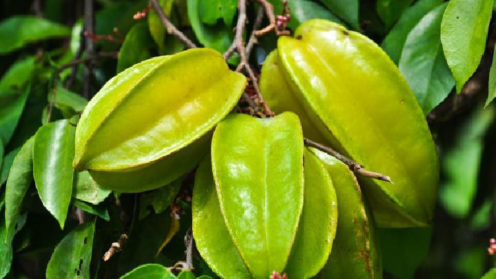 肚子大怎么減肥？瘦肚子效果最好的運動方法推薦