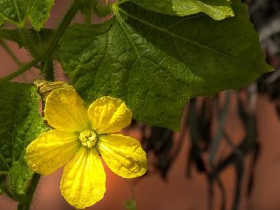 按摩哪個穴位可以減肥？按摩減肥方法介紹