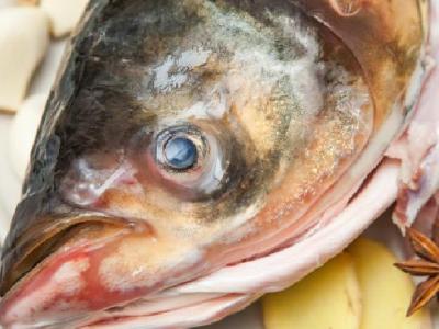 如何減肥瘦肚子？教你健康減肥法快速瘦肚子