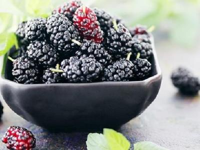 先減肥還是先練肌肉呢?減肥和練肌肉應該如何進行?