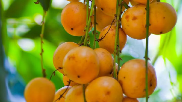 夏季如何快速減肥？夏季減肥食譜推薦