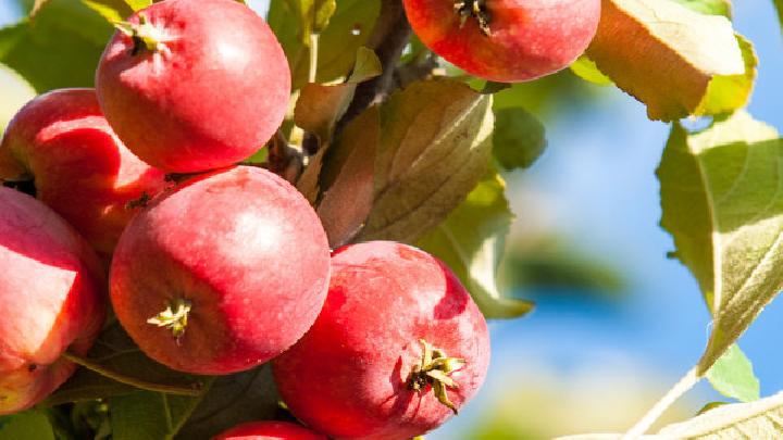 夏季如何快速減肥？夏季減肥食譜推薦