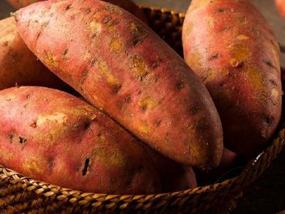 減肥瘦身運動有哪些？哪種最適合你？