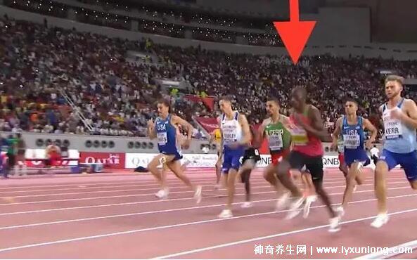 四百米為何稱為死亡跑，需要極強的耐力和爆發力(傷害較大)