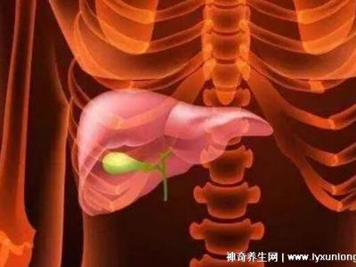 膽囊息肉最怕三種運動，散步/游泳/瑜伽(千萬別舉重爬山)