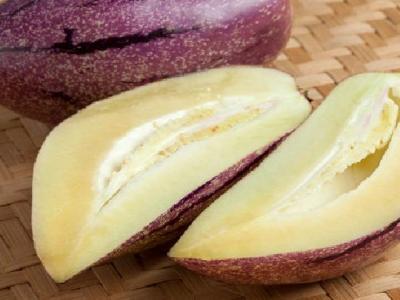 減肥茶有哪些？推薦四款強效減肥茶懶人最愛