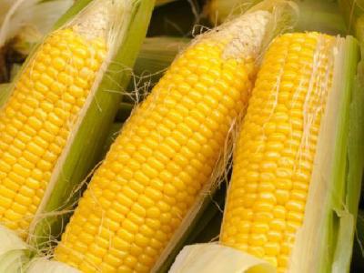 生理期減肥方法有哪些？教你生理期怎么減肥