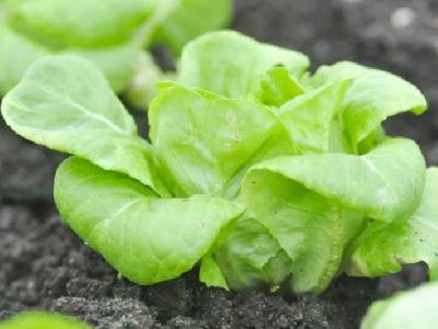 腰腹部如何減肥呢？瘦腰的方法推薦