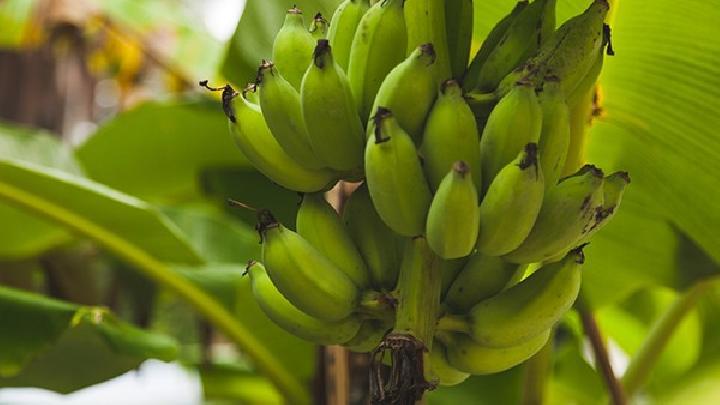 <a href=http://www.logojc.com/tags-減肥瘦身.html target=_blank class=infotextkey>健康減肥</a>養生食譜推薦 肉食品變盟友-易網<a href=http://www.logojc.com/ target=_blank class=infotextkey>健康養生</a>網 健康減肥養生食譜推薦 肉食品變盟友