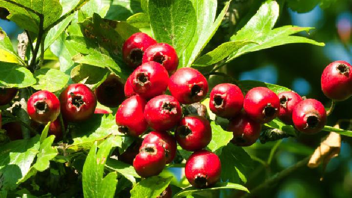 動感單車減肥會好嗎？動感單車減肥效果怎么樣？