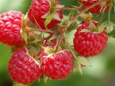 徒步可以減肥嗎？每天徒步多長時間能減肥？