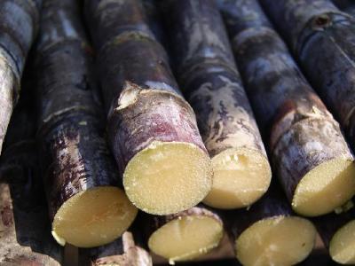 減肥蔬菜粥怎么做?減肥蔬菜粥的做法推薦