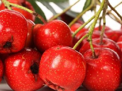 暖宮減肥方法有哪些？暖宮減肥真的可以瘦下來嗎？