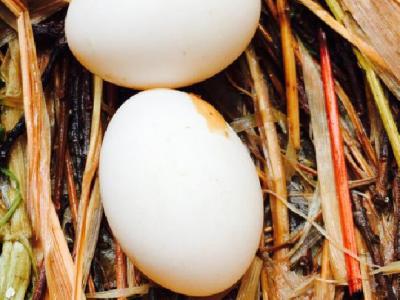 肌肉型大腿怎么減肥？瘦腿的方法介紹