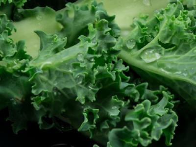 減肥菜譜家常菜做法 減肥菜譜家常菜步驟