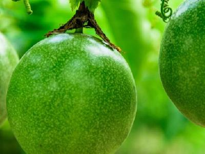 肌肉腿的減肥方法是什么？肌肉腿如何減肥？