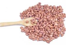 秋季胃不好怎么辦？多吃這些食物能養胃