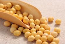 秋季養生吃什么？這3種豆類最適合