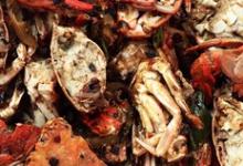 辣炒螃蟹的做法-香辣味炒菜譜