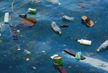 微膠粒可經(jīng)空氣傳播 日常食材或受污染