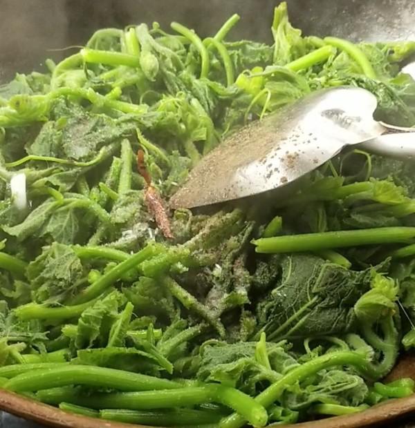 爆炒南瓜尖的做法-咸鮮味炒菜譜