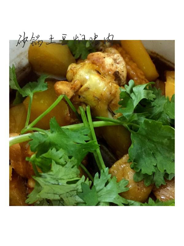 米飯的殺手～砂鍋土豆燜雞翅的做法-家常味燜菜譜