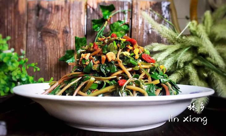 枸杞拌馬齒莧的做法-酸辣味拌菜譜