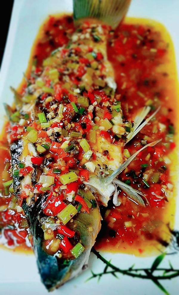 《過水魚》的做法-香辣味其它工藝菜譜-易網健康養生網 《過水魚》的做法-香辣味其它工藝菜譜