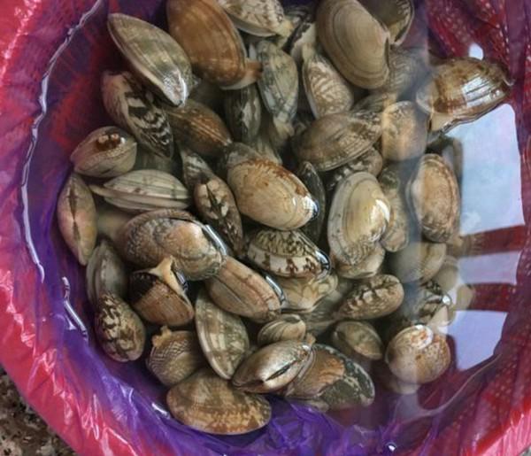 花甲蒸蛋的做法-家常味蒸菜譜