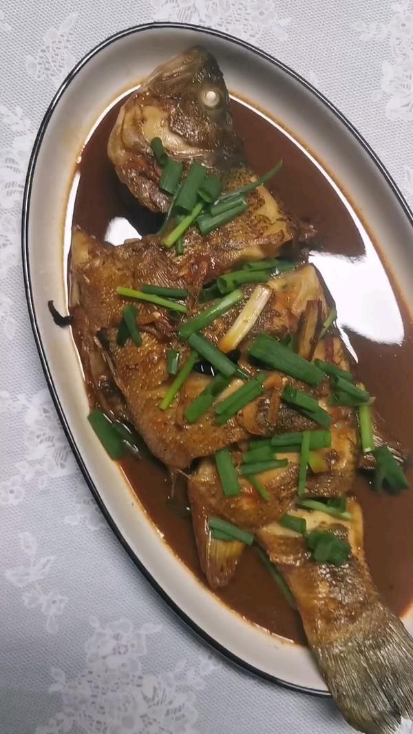 紅燒鱸魚的做法-家常味煮菜譜
