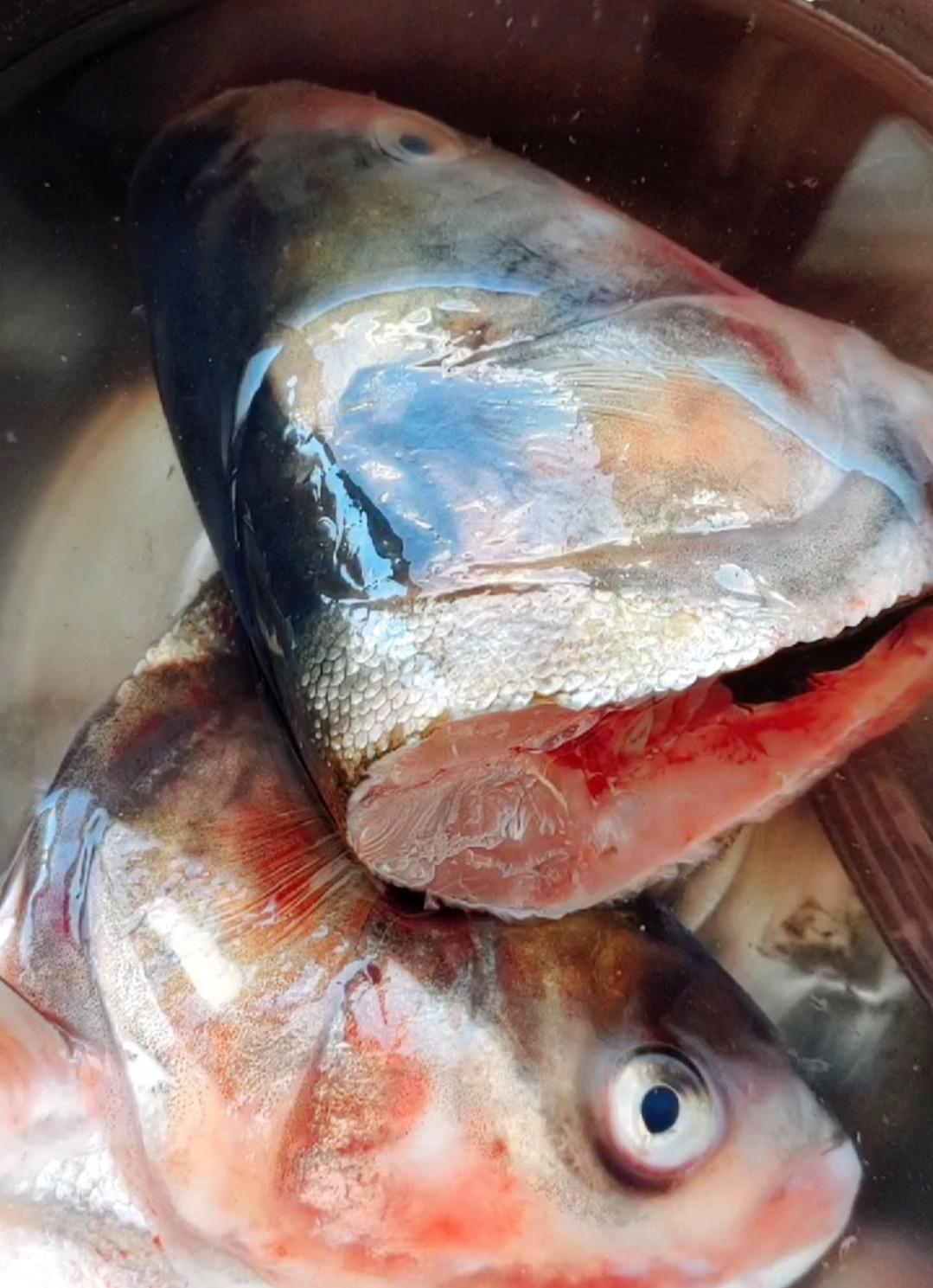 魚頭泡餅的做法-家常味燉菜譜