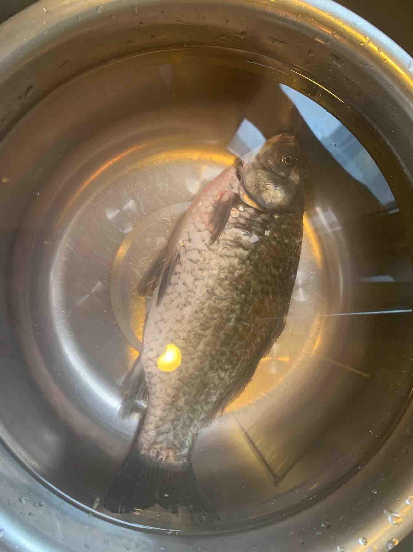 奶白鯽魚豆腐湯的做法-咸鮮味煮菜譜