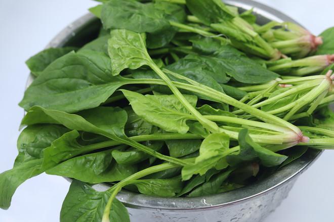 雞蛋木耳炒菠菜的做法-家常味炒菜譜-易網(wǎng)<a href=http://www.logojc.com/ target=_blank class=infotextkey>健康養(yǎng)生</a>網(wǎng) 雞蛋木耳炒菠菜的做法-家常味炒菜譜