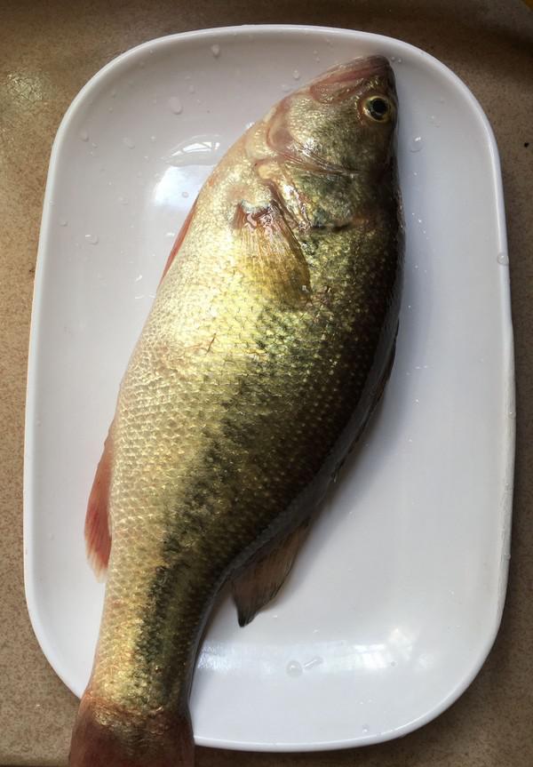 蔥香鱸魚的做法-家常味蒸菜譜