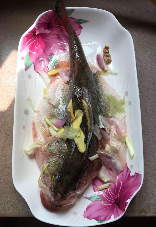 蔥香鱸魚的做法-家常味蒸菜譜