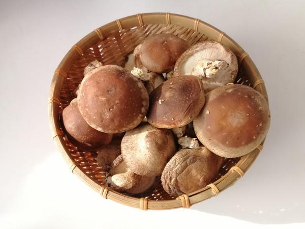 香菇炒荷蘭豆的做法-家常味炒菜譜-易網<a href=http://www.logojc.com/ target=_blank class=infotextkey>健康養生</a>網 香菇炒荷蘭豆的做法-家常味炒菜譜