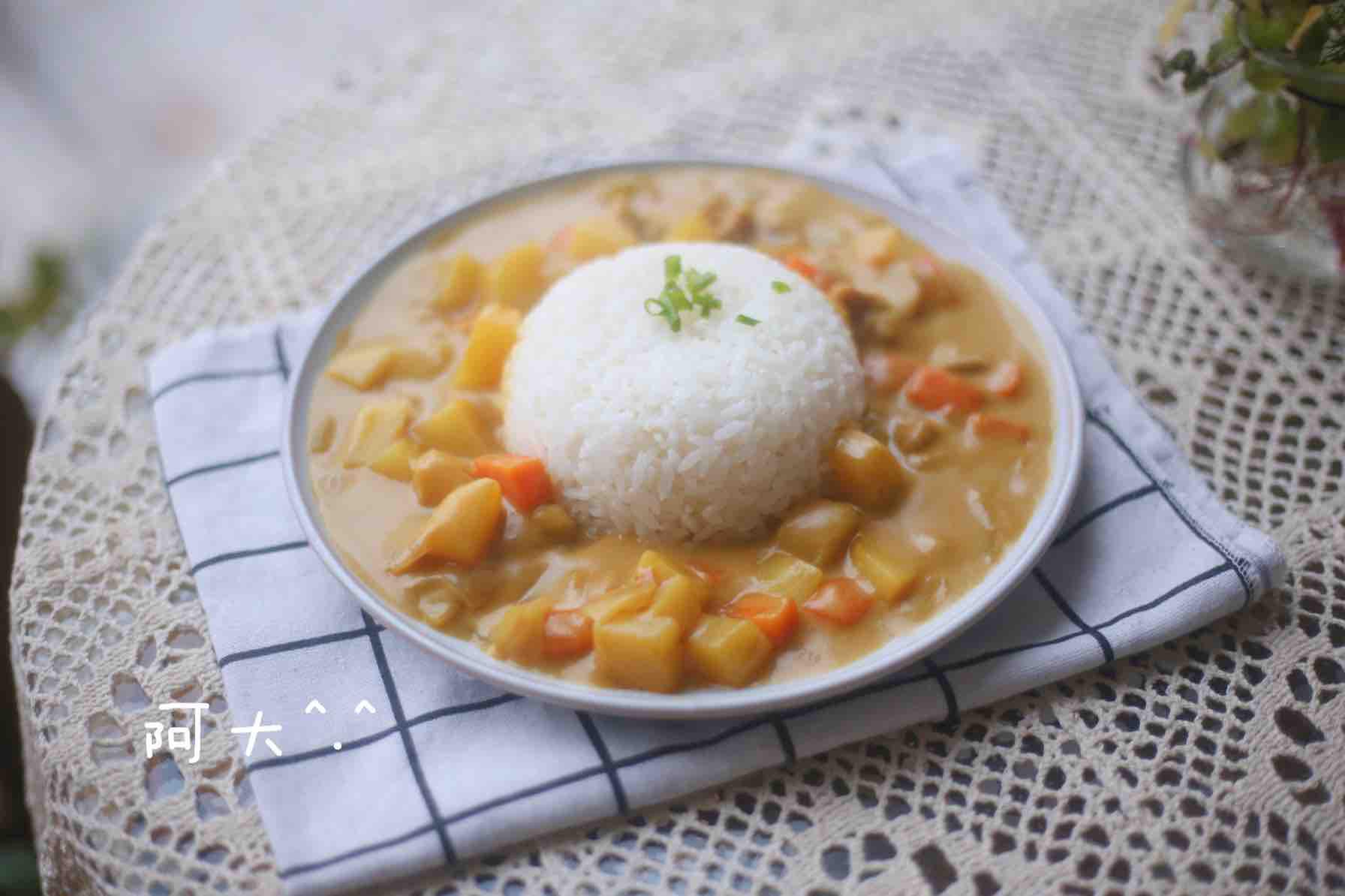 豬肉咖喱飯的做法-咖喱味煮菜譜