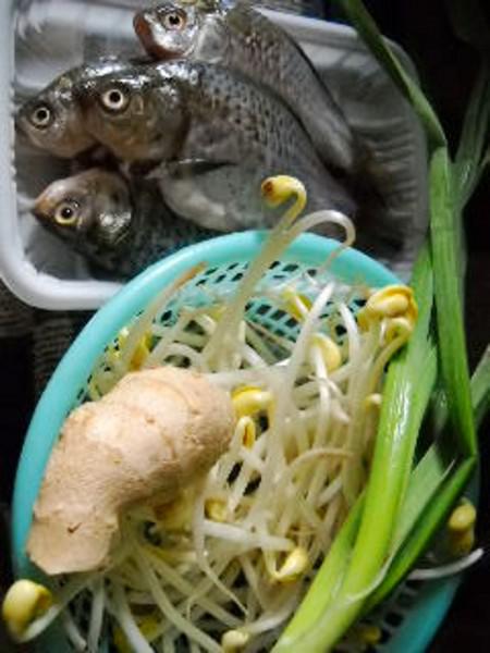 豆芽燒鯽魚的做法-咸鮮味燒菜譜