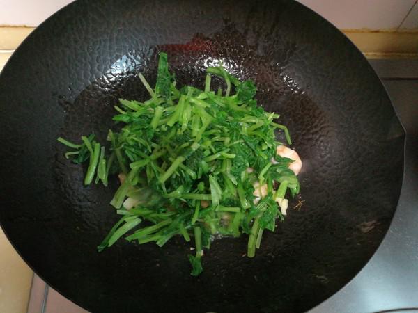 小白菜炒蝦仁的做法-家常味炒菜譜-易網健康養生網 小白菜炒蝦仁的做法-家常味炒菜譜