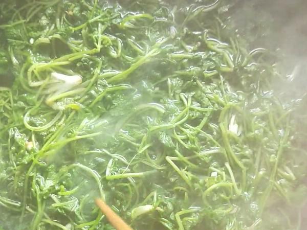 雞蛋干拌香菜的做法-咸鮮味拌菜譜