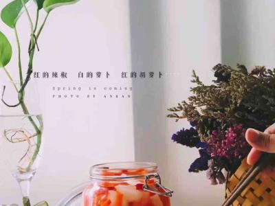 酸辣蘿卜泡菜的做法-酸辣味泡菜譜