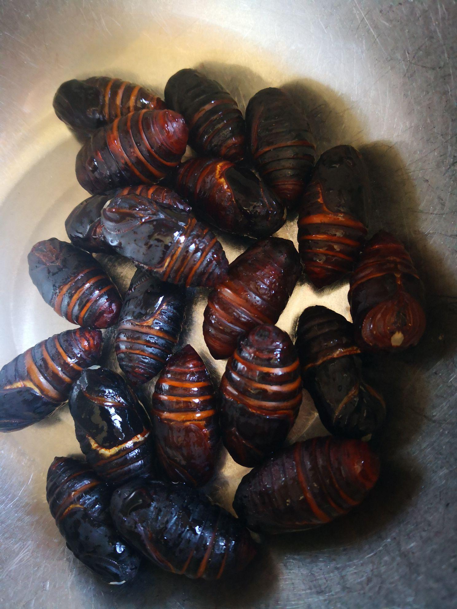 蔥香繭蛹的做法-家常味炒菜譜