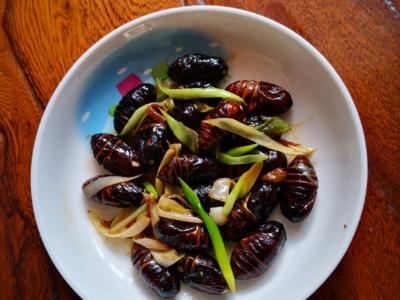 蔥香繭蛹的做法-家常味炒菜譜