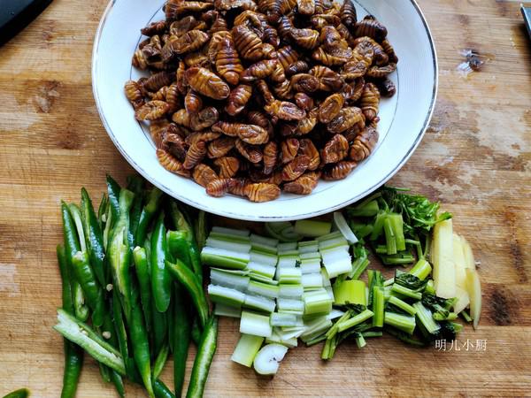 青椒炒蠶蛹的做法-家常味炒菜譜-易網<a href=http://www.logojc.com/ target=_blank class=infotextkey>健康養生</a>網 青椒炒蠶蛹的做法-家常味炒菜譜