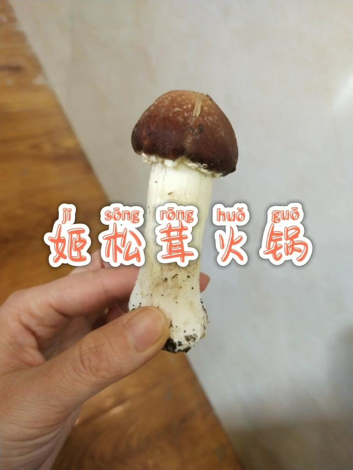 姬松茸火鍋的做法-咸鮮味煮菜譜