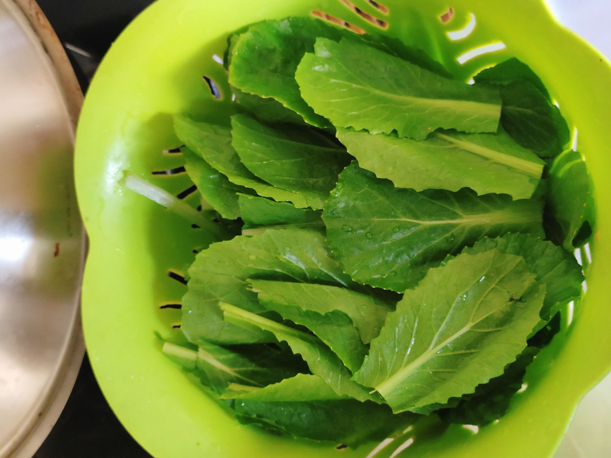 紅燒肉燉海帶的做法-咸鮮味燉菜譜