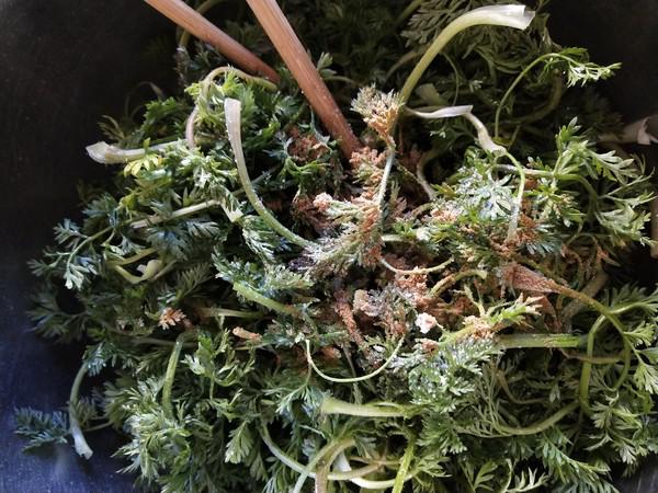 蒸野蘿卜纓的做法-家常味蒸菜譜